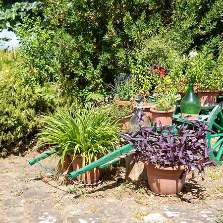Charming Florentine Hideout * فلورنس